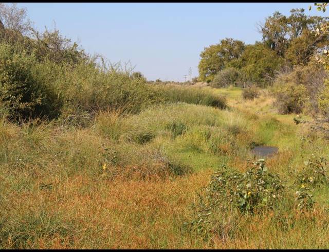 8,280HA FARM FOR SALE IN RICHMOND RURAL